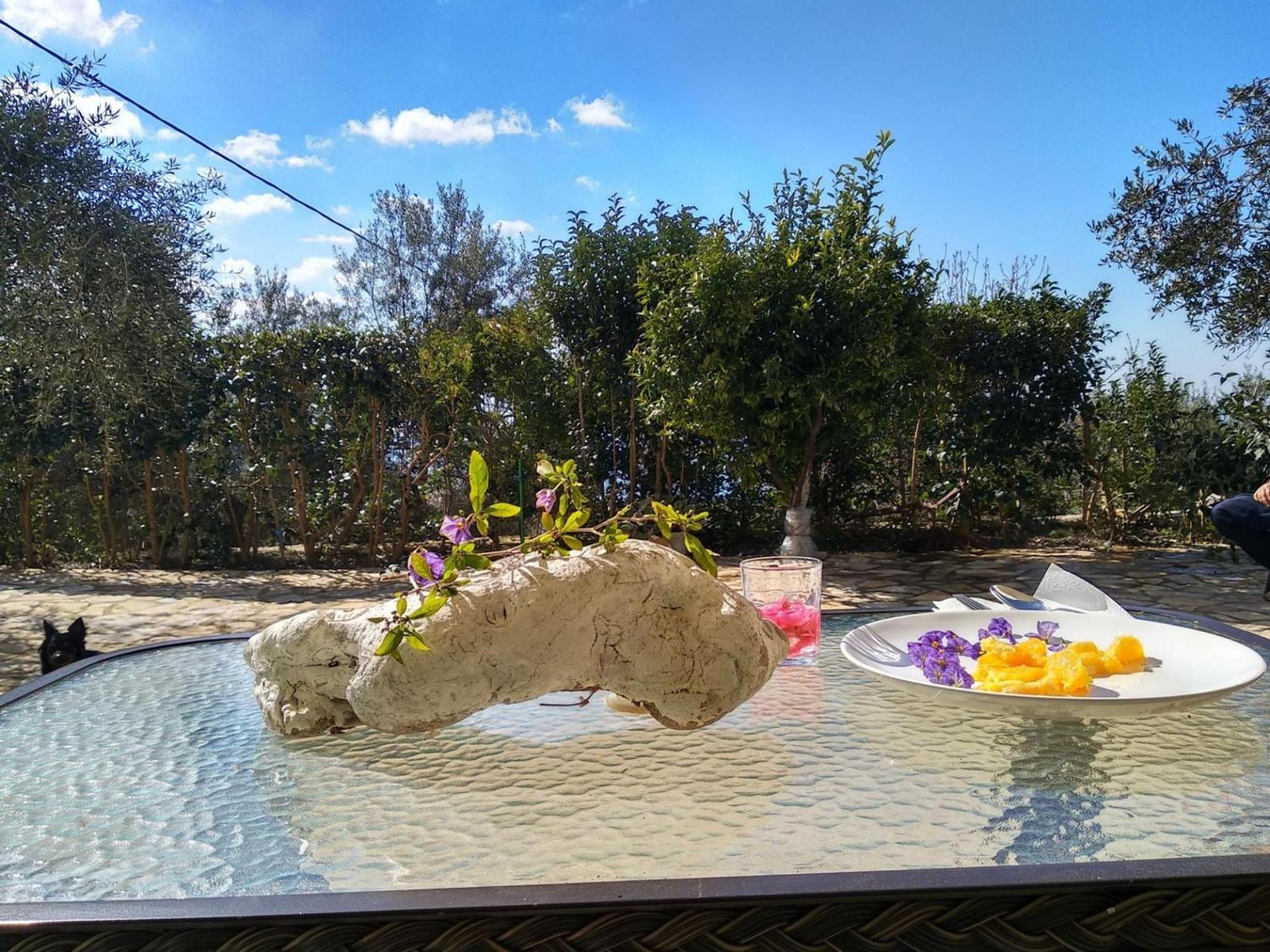 Caza Levantiera Kalamítsi Dış mekan fotoğraf